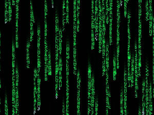 Screenshot do site MATRIX